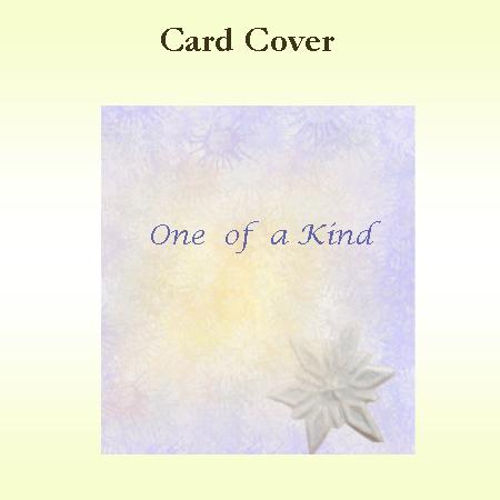 One of a Kind Card Cover